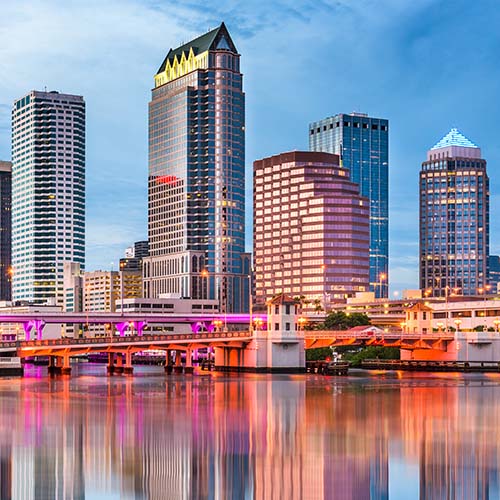 av services tampa fl